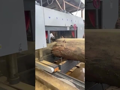 Электрическая лесопильная