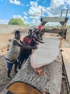 Band Sawmill Woodworking Wood used Cheap Portable Sawmill Wood cutting Saw Machines