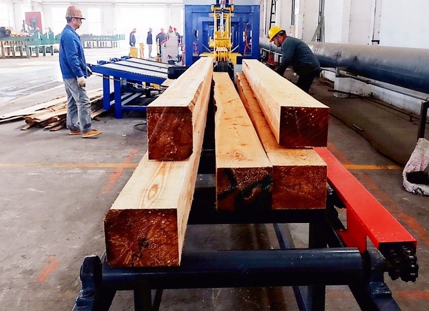 Industrial Sawmills Twin Bandsaw Production Line Wood Product Processing Line